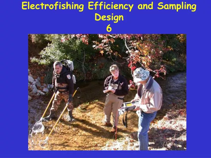 electrofishing efficiency and sampling design 6