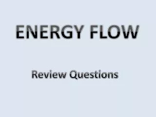 review questions