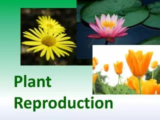 Plant Reproduction