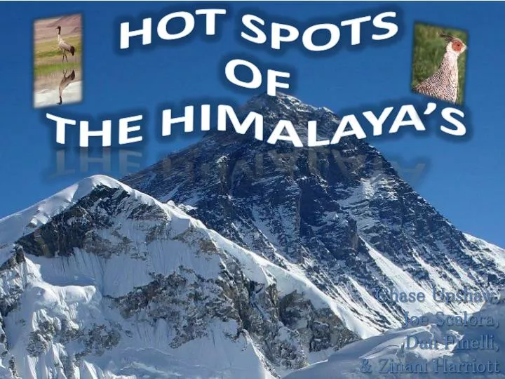 hot spots of the himalaya s