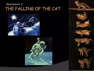 THE FALLING OF THE CAT