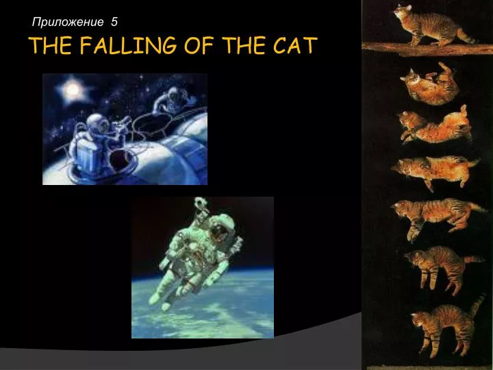 the falling of the cat