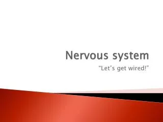 Nervous system