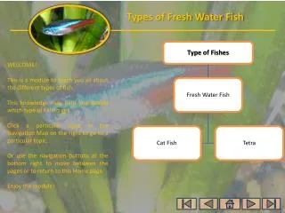 WELCOME! This is a module to teach you all about the different types of fish.