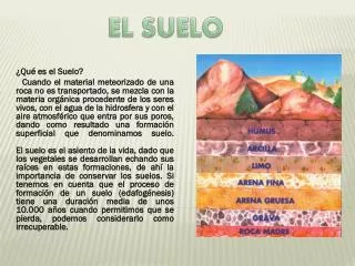 el suelo
