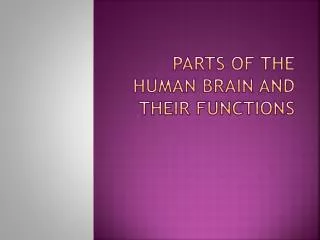 Parts of the Human Brain and their functions