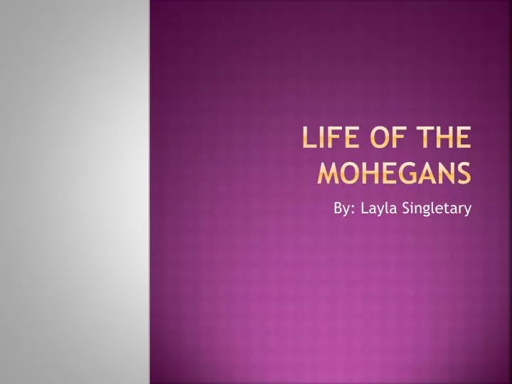 life of the mohegans