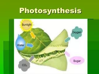 Photosynthesis