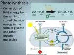 Photosynthesis - slide 1