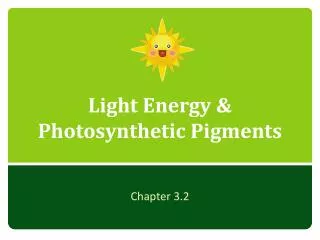 Light Energy &amp; Photosynthetic Pigments