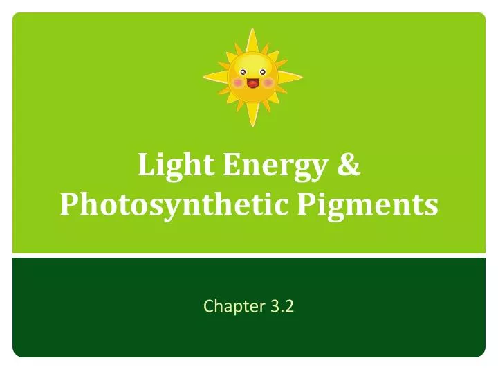light energy photosynthetic pigments