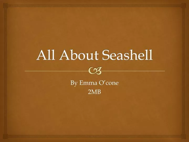 all about seashell