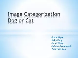 Image Categorization Dog or Cat