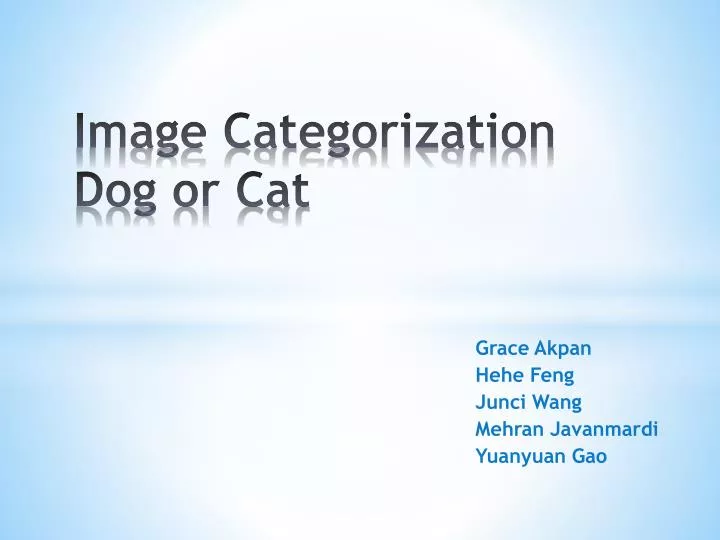 image categorization dog or cat
