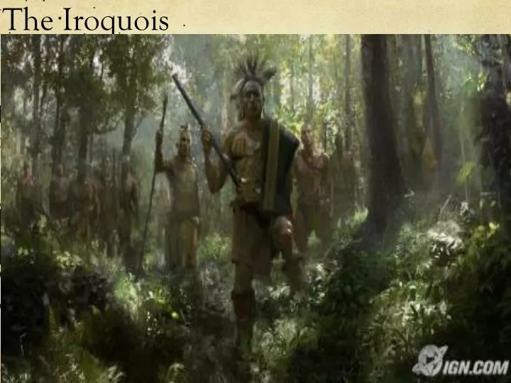 the iroquois