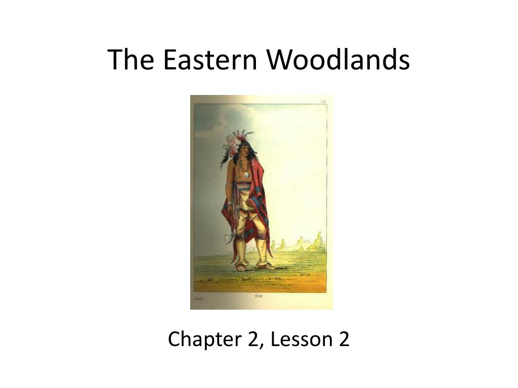 PPT - The Eastern Woodlands PowerPoint Presentation, free download - ID ...