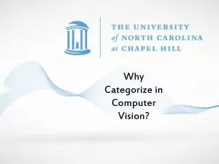 Why Categorize in Computer Vision?