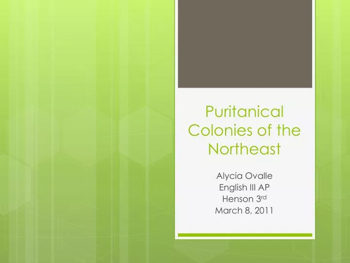 puritanical colonies of the northeast