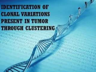 IDENTIFICATION OF CLONAL VARIATIONS PRESENT IN A TUMOR THROUGH CLUSTERING