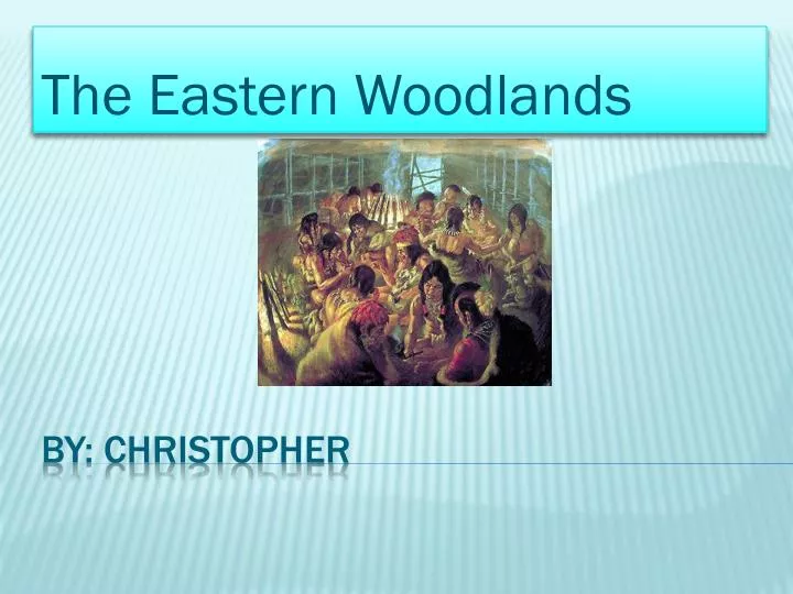 the eastern woodlands