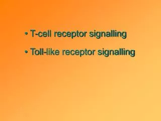 T-cell receptor signalling Toll-like receptor signalling