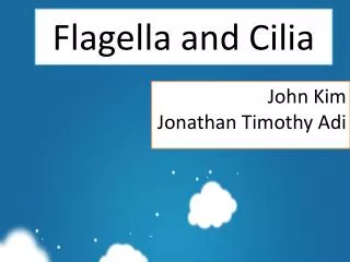 Flagella and Cilia