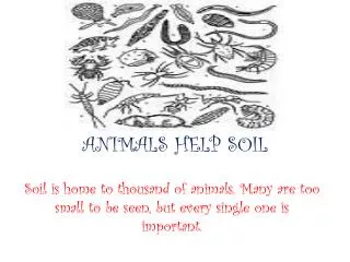 ANIMALS HELP SOIL