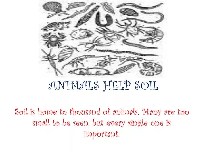 animals help soil