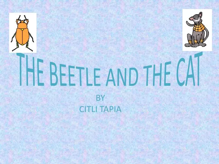 the beetle and the cat