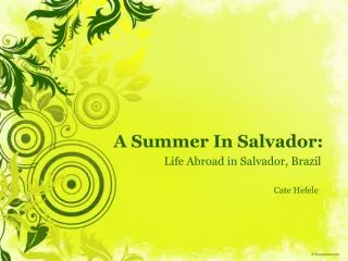 A Summer In Salvador: