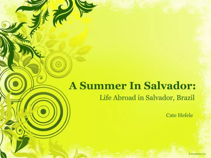 a summer in salvador