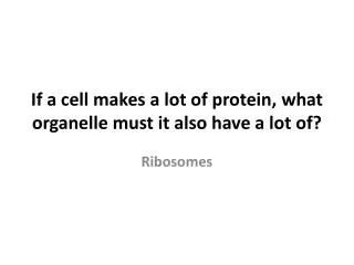 If a cell makes a lot of protein, what organelle must it also have a lot of?
