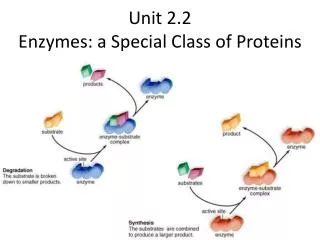 Unit 2.2 Enzymes: a Special Class of Proteins