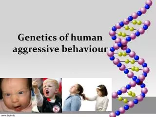 Genetics of human aggressive behaviour