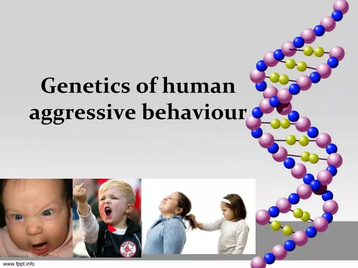 genetics of human aggressive behaviour