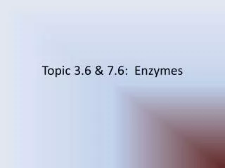 Topic 3.6 &amp; 7.6: Enzymes