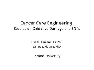 Cancer Care Engineering: Studies on Oxidative Damage and SNPs