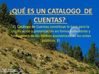 EL ESTILO DE CODIFICACION DENTRO DEL CATALO ES DE LA SIGIENTE MANERA: