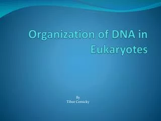 Organization of DNA in Eukaryotes