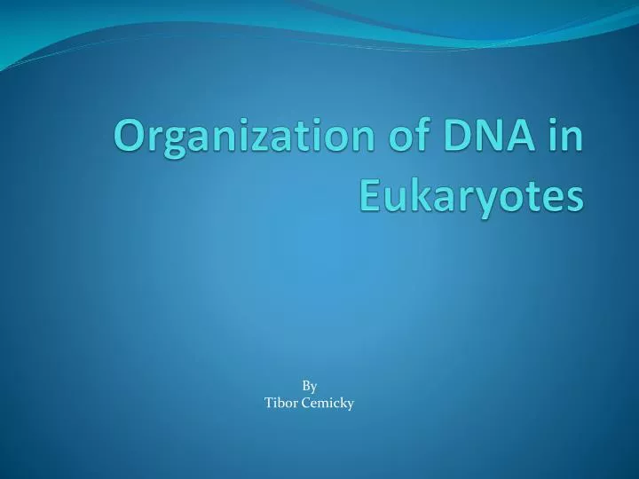 organization of dna in eukaryotes