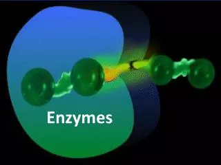 Enzymes