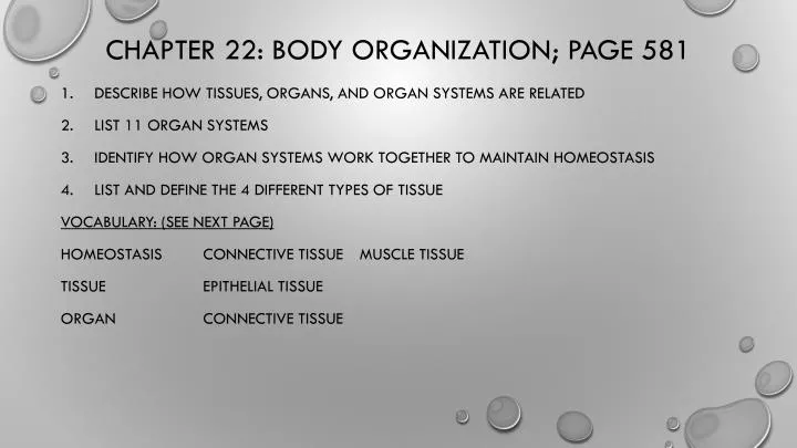 chapter 22 body organization page 581