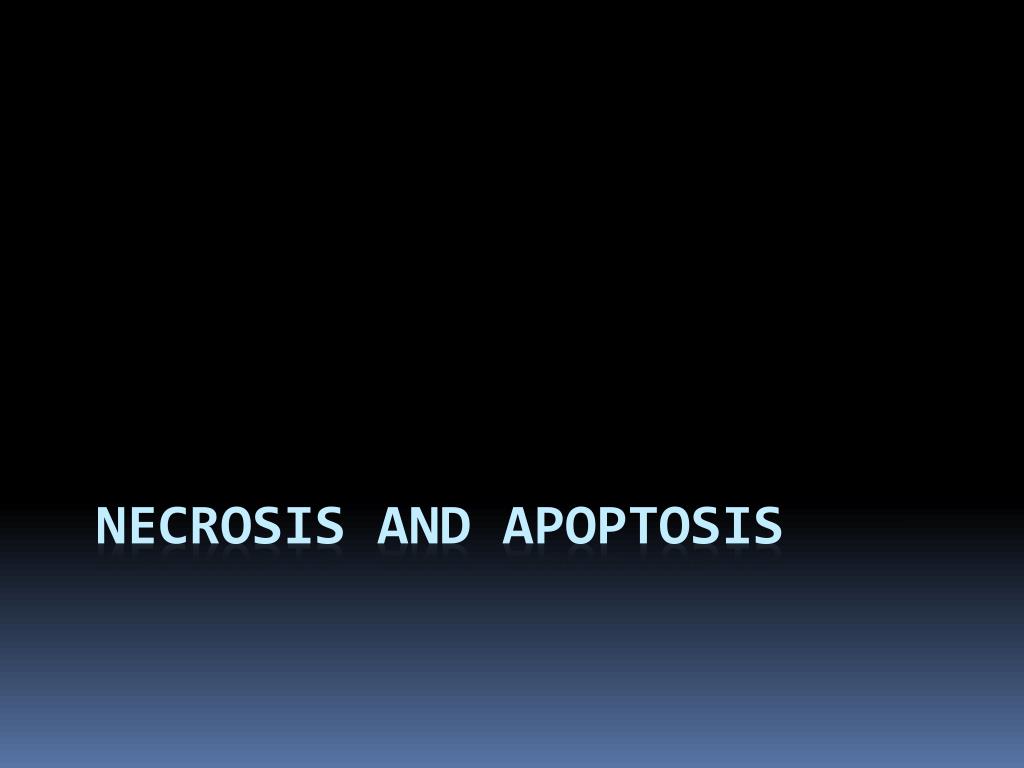 PPT - Necrosis and apoptosis PowerPoint Presentation, free download ...
