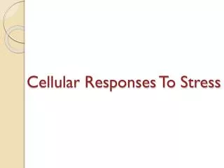 Cellular Responses To Stress