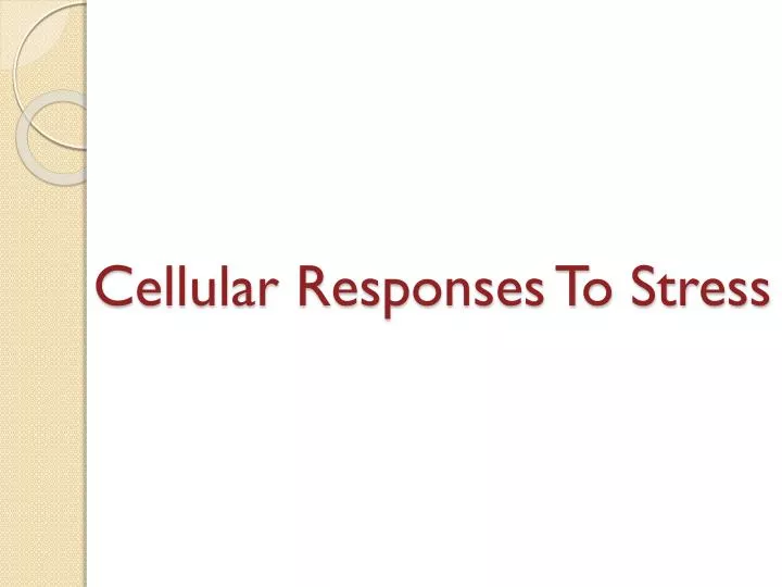 cellular responses to stress