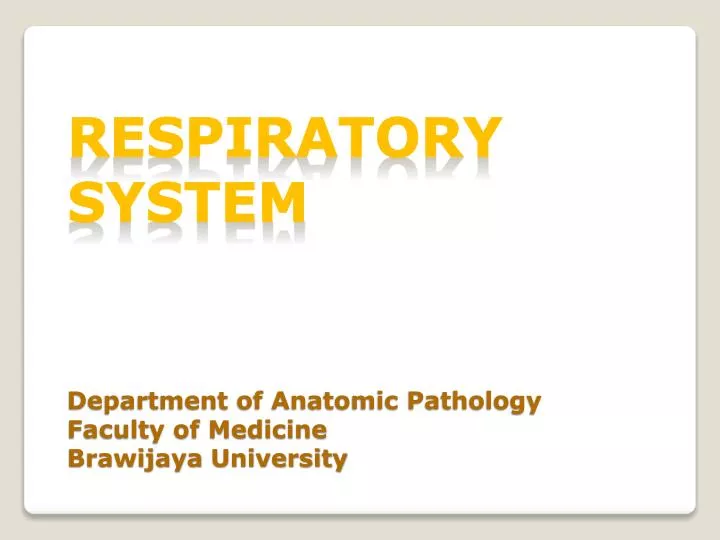 respiratory system department of anatomic pathology faculty of medicine brawijaya university