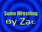 Sumo Wrestling - slide 1