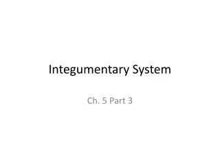 Integumentary System