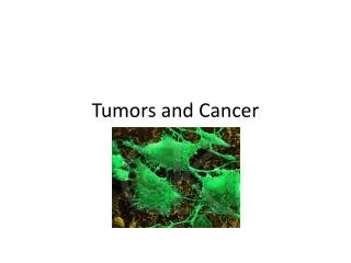 Tumors and Cancer