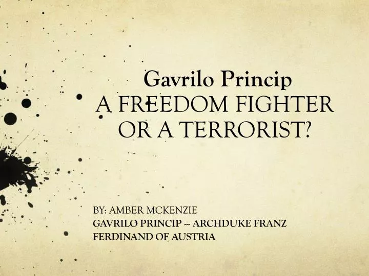 gavrilo princip a freedom fighter or a terrorist